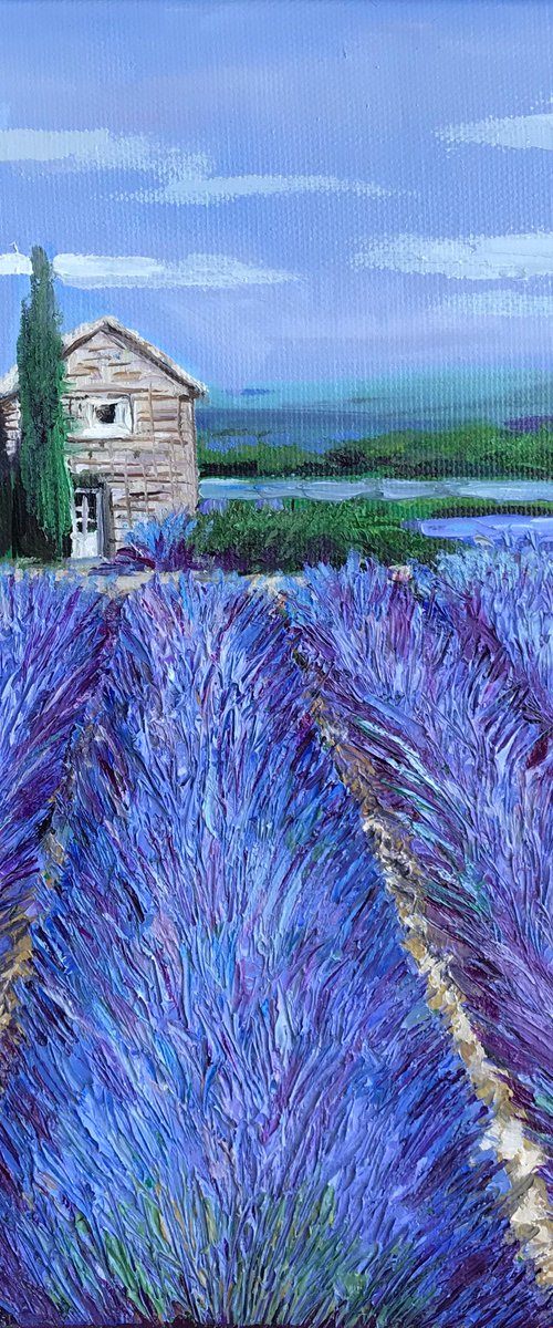 Provence, Lavender field 4 on canvas landscape art by Leysan Khasanova