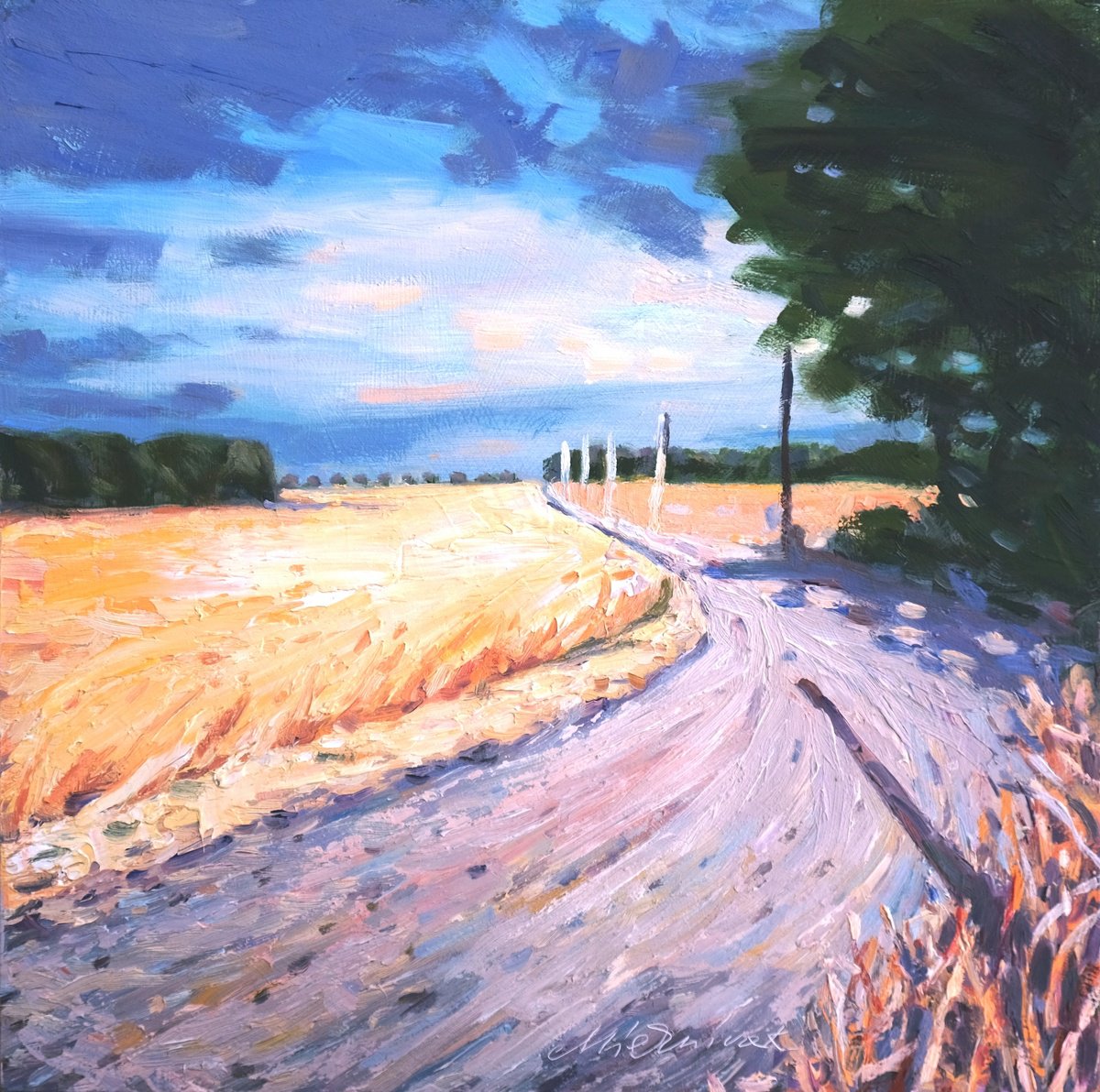 Impressionistic Landscape Oil Painting By Richard Mierniczak, 12 X 12", Provence Fields, Original Artwork