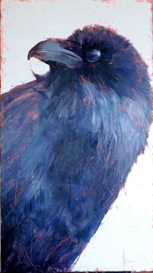 The world of birds. Jackdaw Barbara. by Igor Shulman