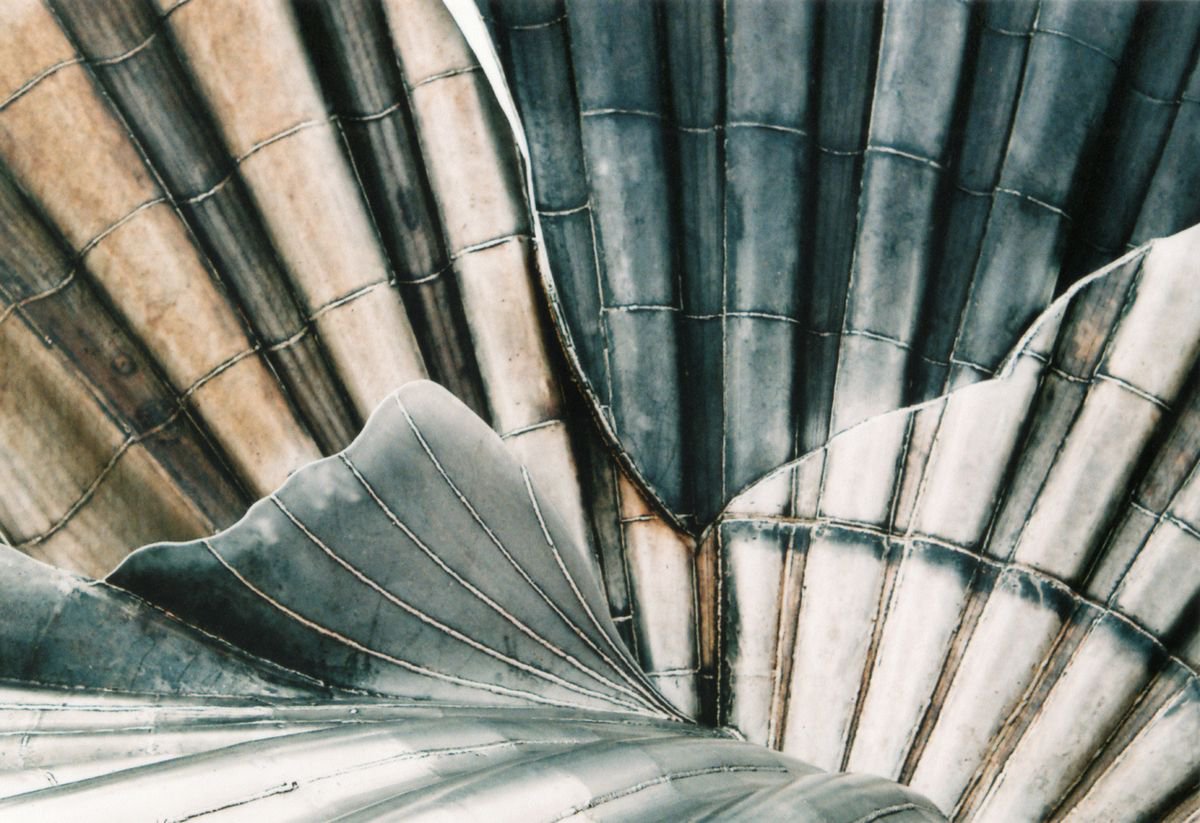 Photorealistic Abstract Photograph By Justice Hyde, 28 X 20", A Shell Of Steel 2 - Unmounted, Original Artwork