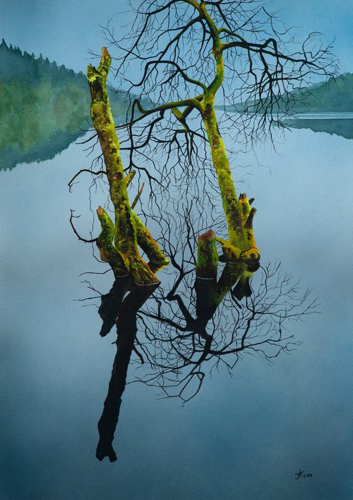 Two Trees by John Kerr