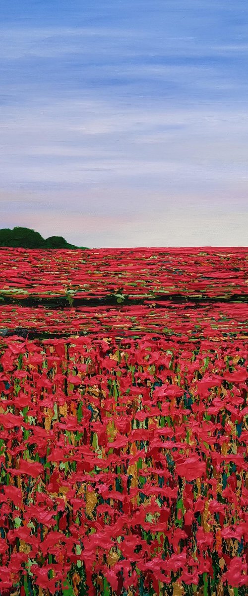Poppy Fields and Faraway Sky by Amanda Horvath