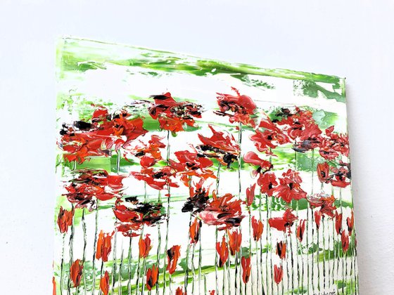 Flora Poppies 5