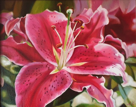 "Oh, lily ..."  pink red flower lily liGHt original painting  GIFT (2021)