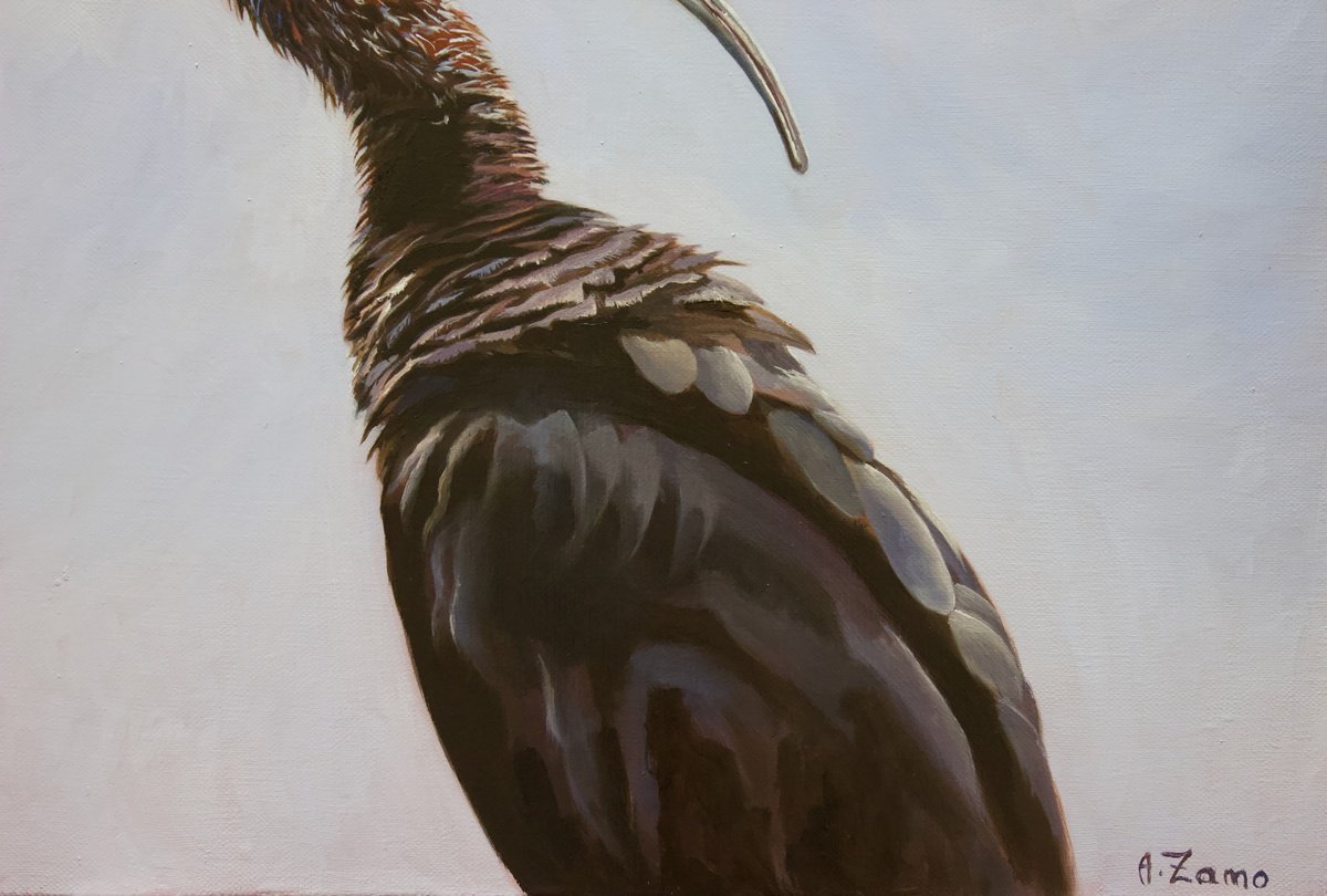 Photorealistic Animal Oil Painting By Anne Zamo, 18 X 15, Ibis, My Beautiful Ibis, Original Artwork