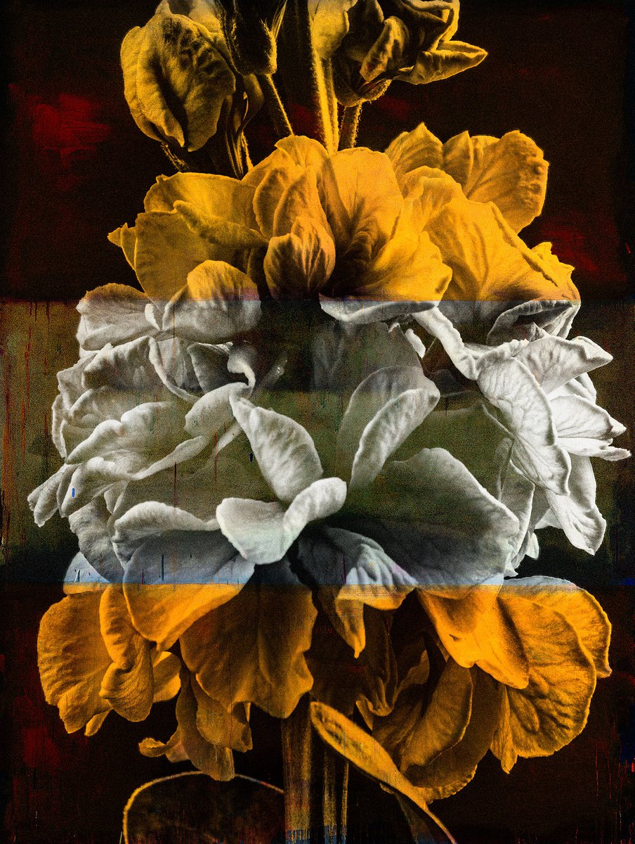 Botanical Painting By Teis Albers, 39 X 47", Pinnacle, Original Artwork