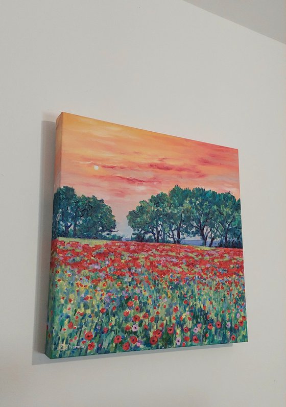 Evening Poppy Meadow