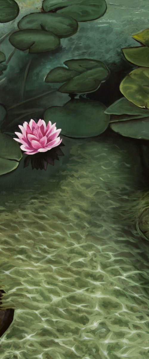 Water lily by Inna Medvedeva