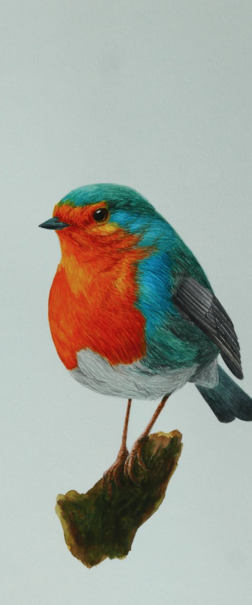 Robin on the branch by Karina Danylchuk