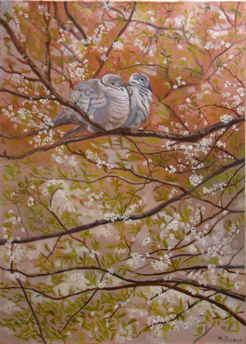 Turtledoves by Anne Zamo