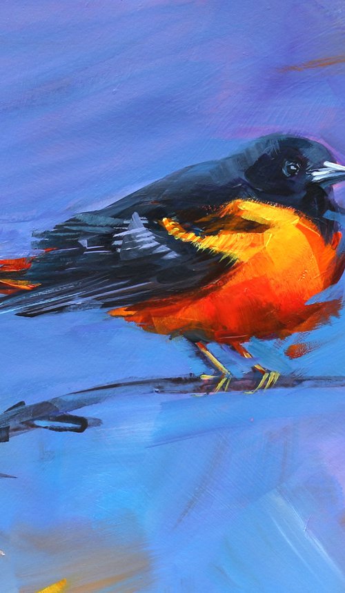 Morning | Song | Bird by Trayko Popov