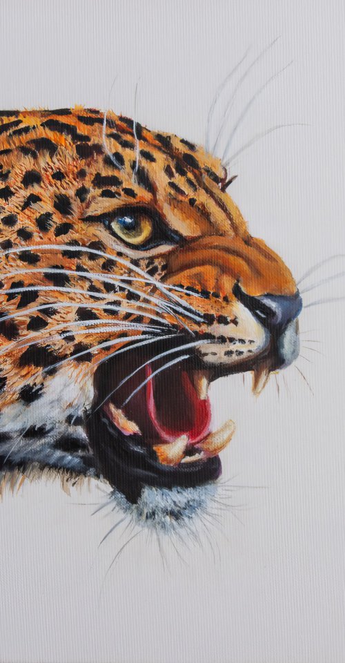 Roaring leopard by Norma Beatriz Zaro