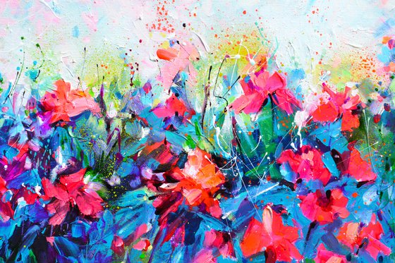 Red Wild Poppies Field at Dusk