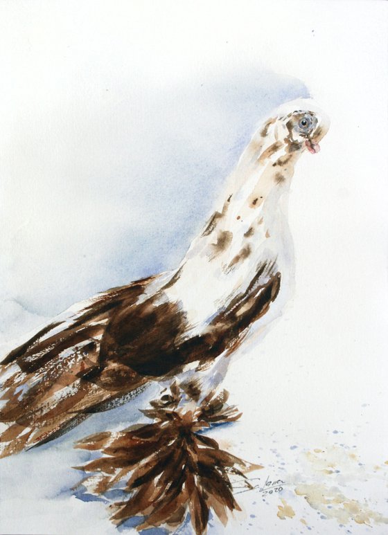 Dove I - Animal portrait /  ORIGINAL PAINTING