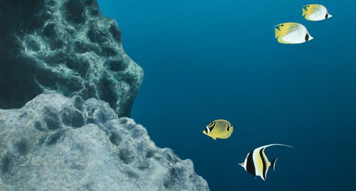 Artwork by Faisal Warsani