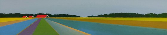 Colourful fields (3)