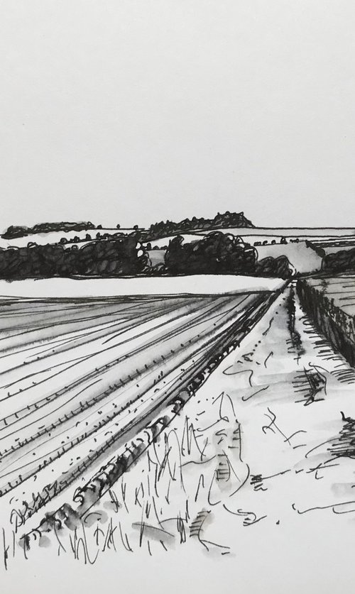 Norfolk Farm Track - Traditional Landscape Drawing Pen Ink by Catherine Winget