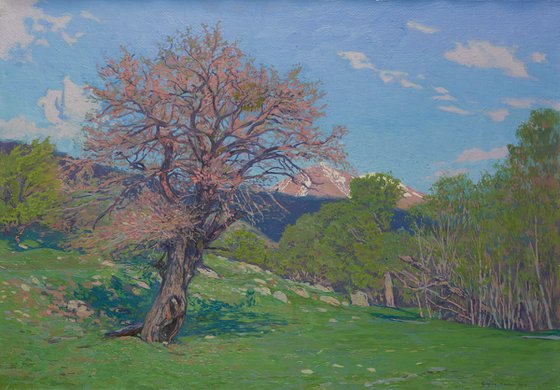 May. Spring in Teberda