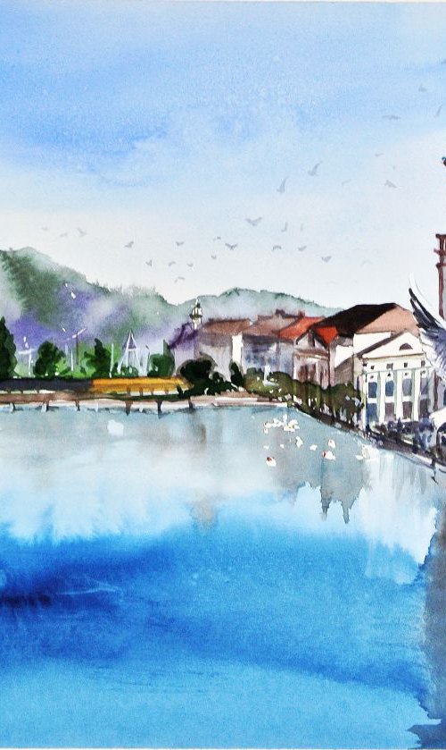 A Seagull in Luzern by Ksenia Astakhova