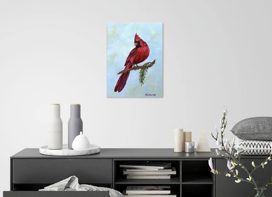 Beautiful cardinal