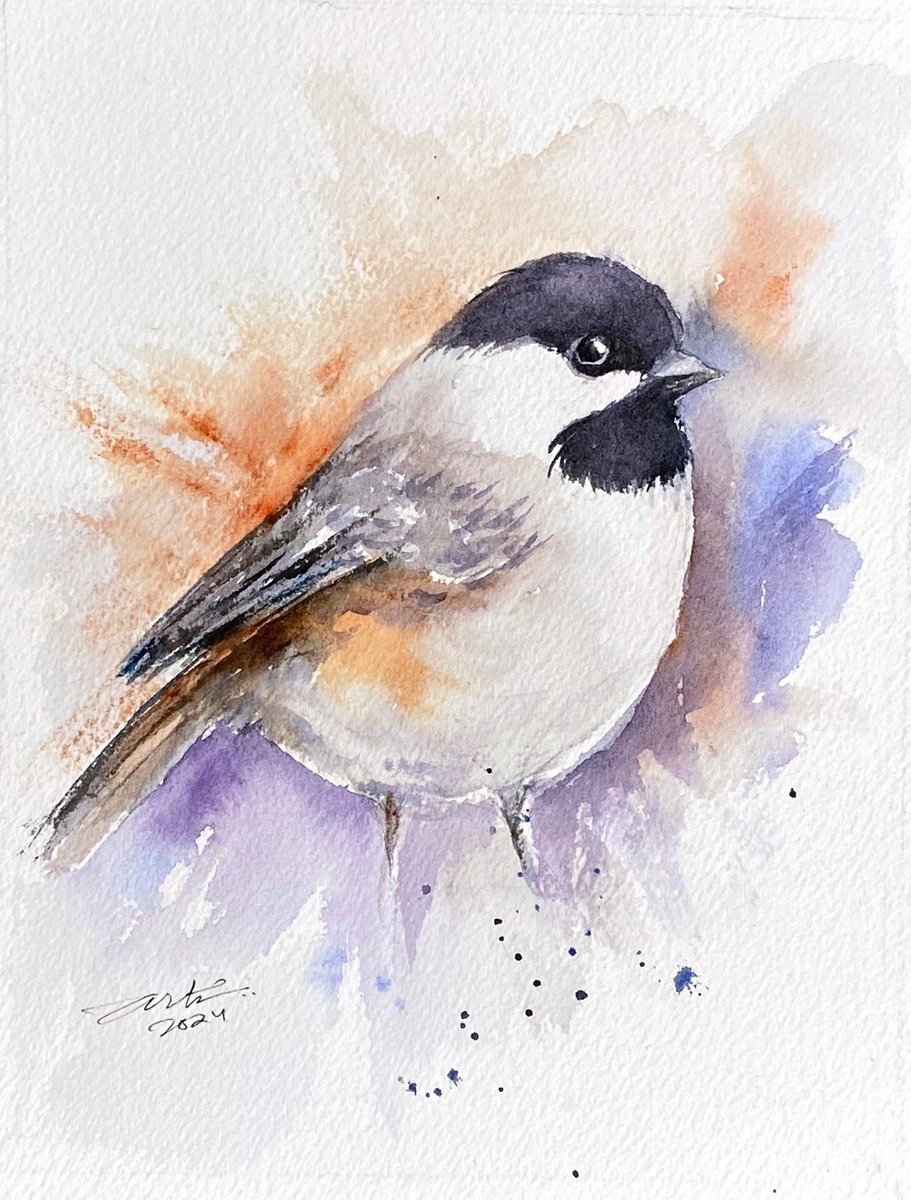 Coal Tit Tilly by Arti Chauhan