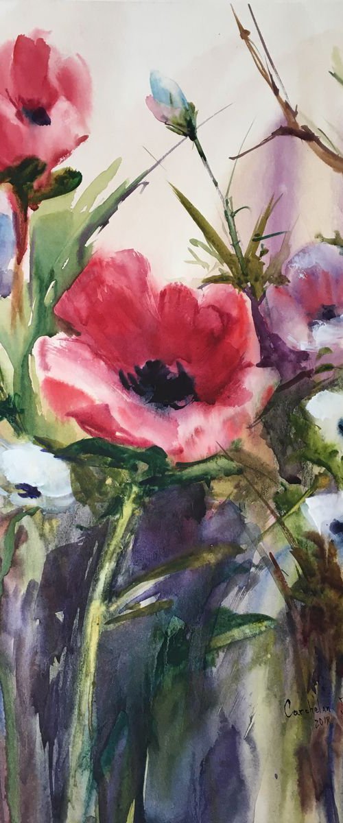 "Red and white flowers" by Iulia Carchelan
