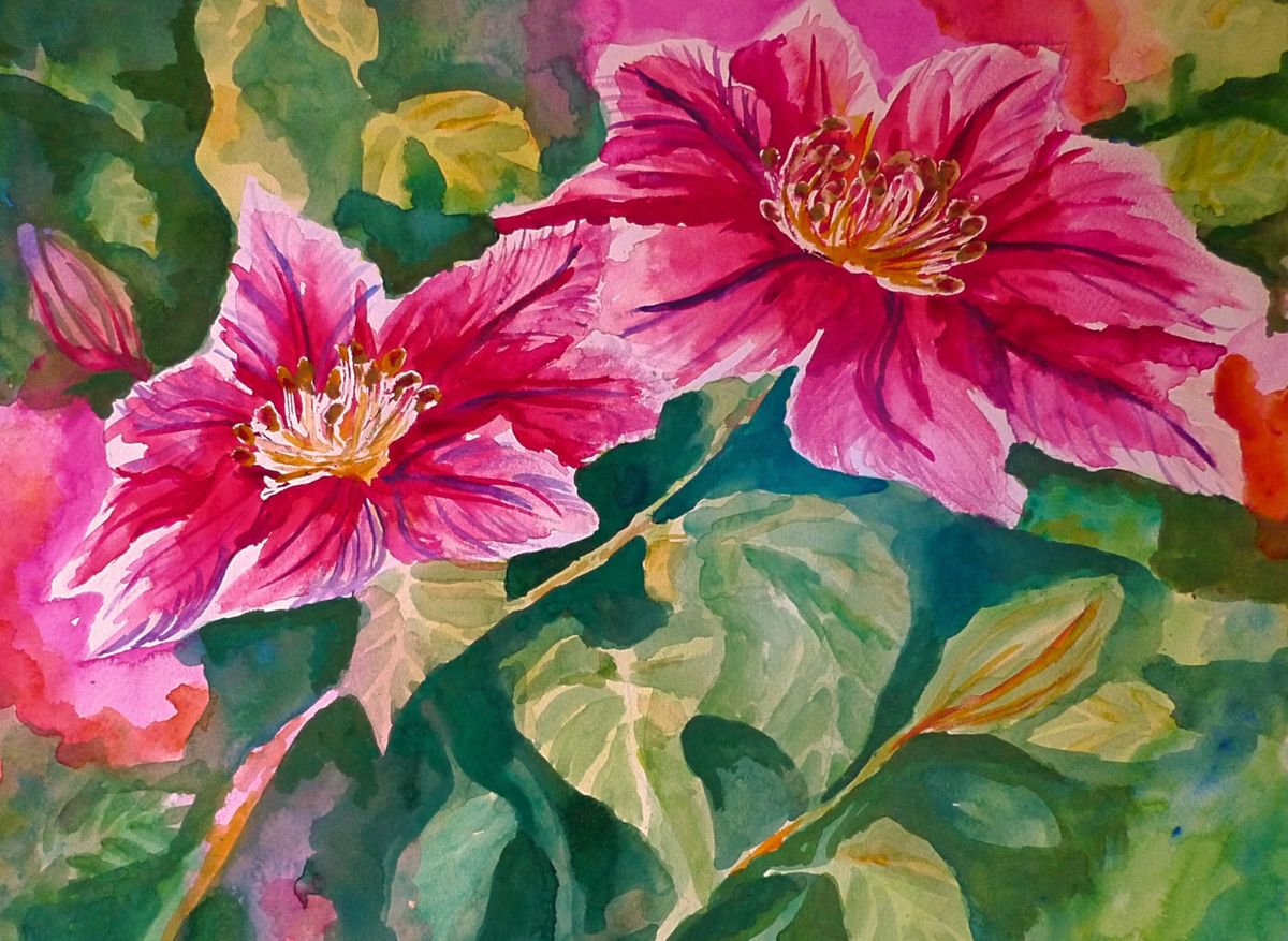 Impressionistic Botanical Watercolour By Aneta Gajos, 22 X 17, Clematis, Original Artwork