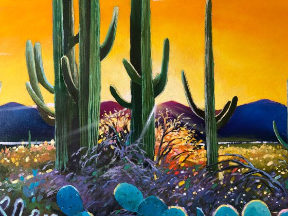 Sunset somewhere in desert