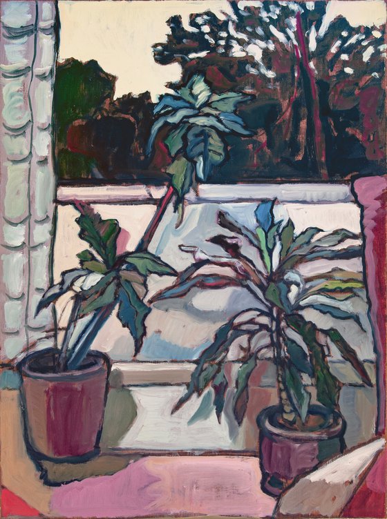 Two House Plants
