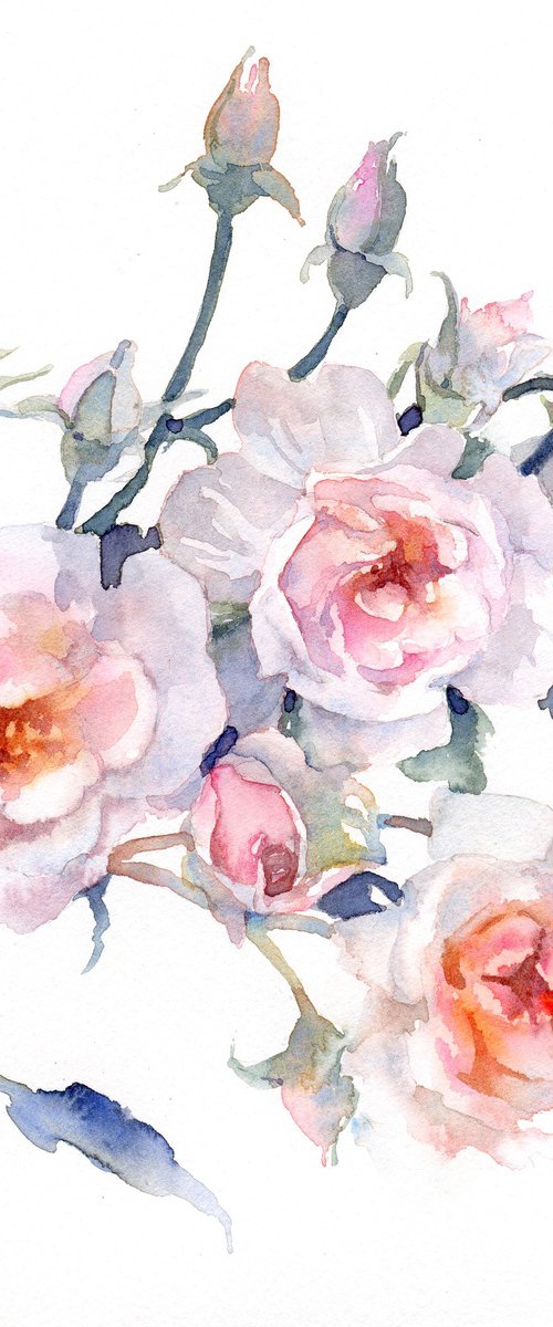 Watercolor roses on white by Yulia Evsyukova