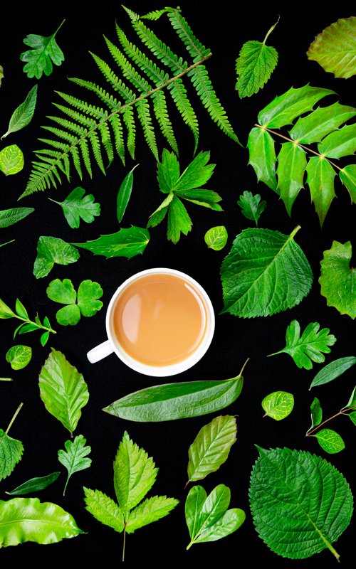 Tea Leaves by Paul Nash