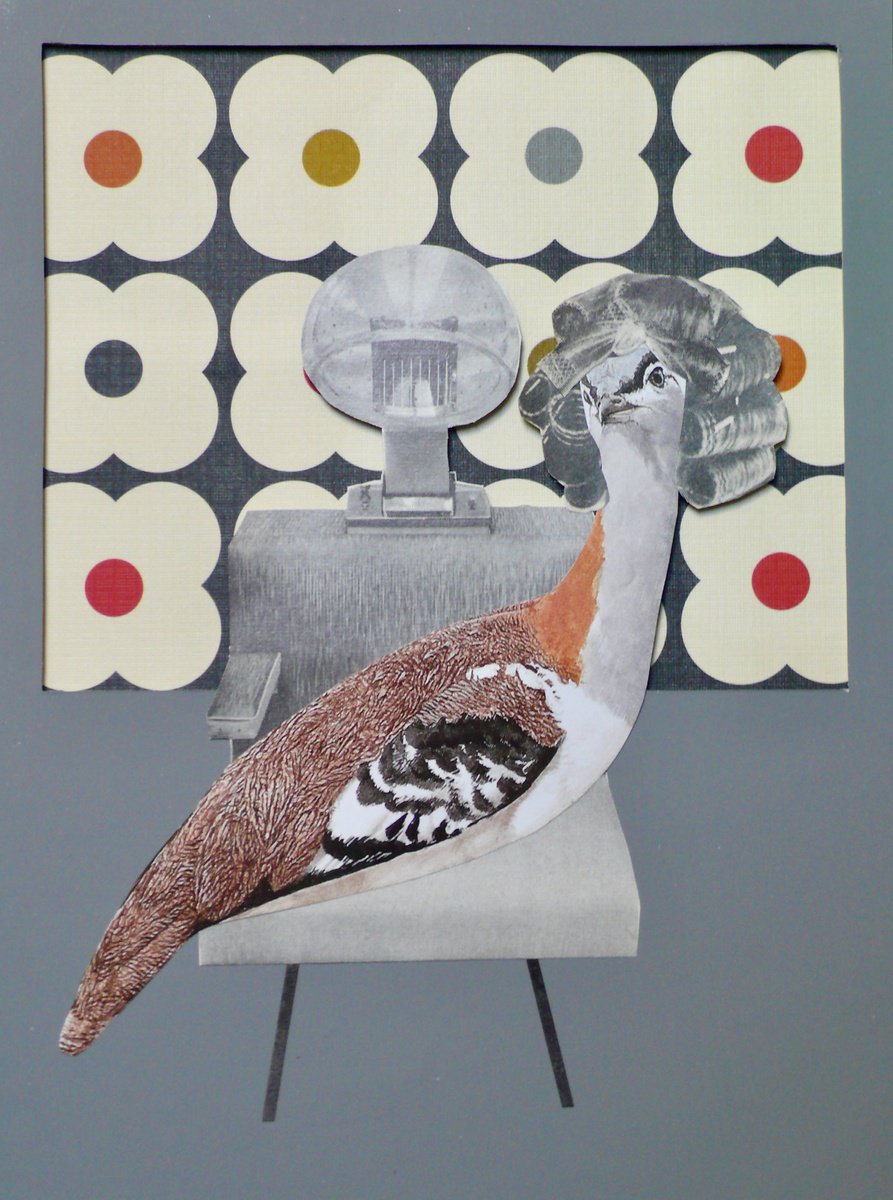 Salon Birds Number #3 by Gina Ulgen