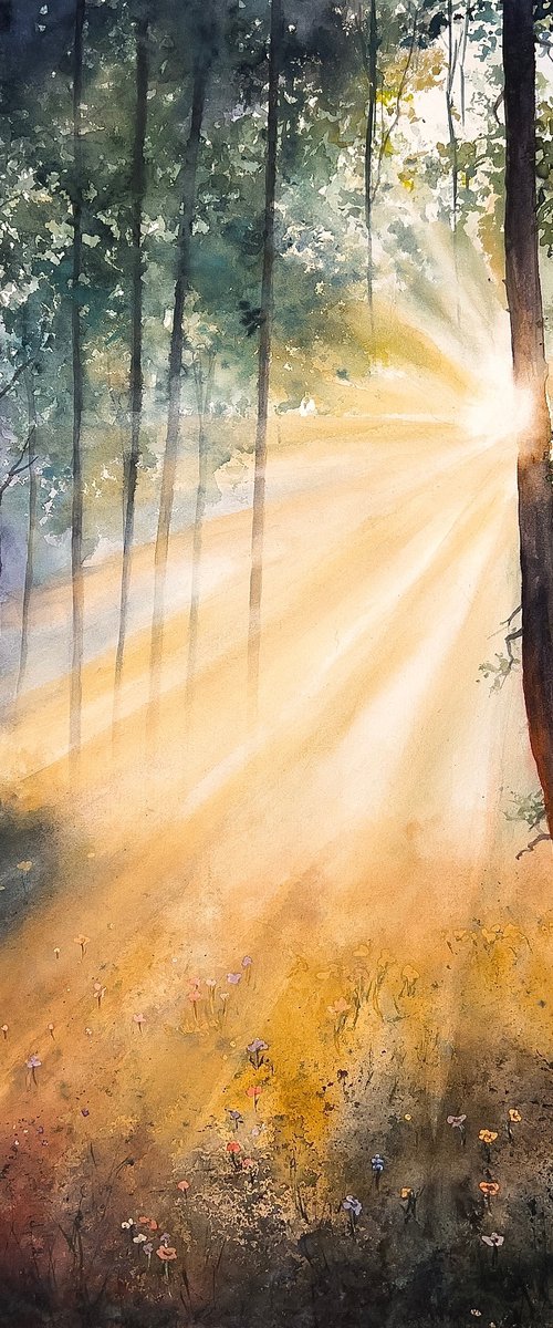 Whispers of Morning Light by Tetiana Koda