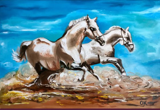 Wild  horses