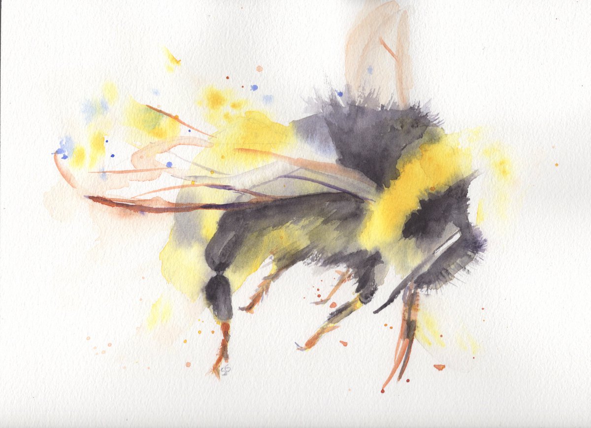 Watercolour Bee 3 by Sarah Stowe
