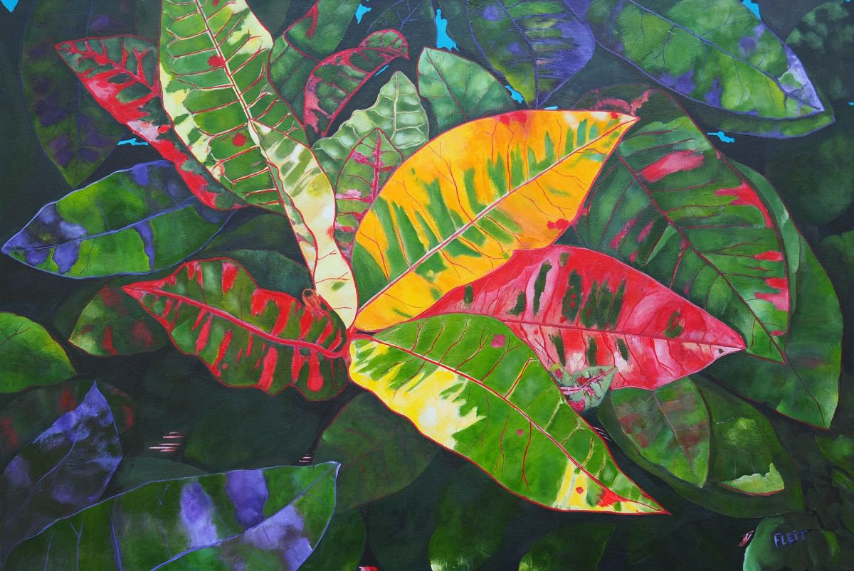 Floral Series 14 By Steven Fleit, 36 X 25, Artwork For Sale On Artfinder