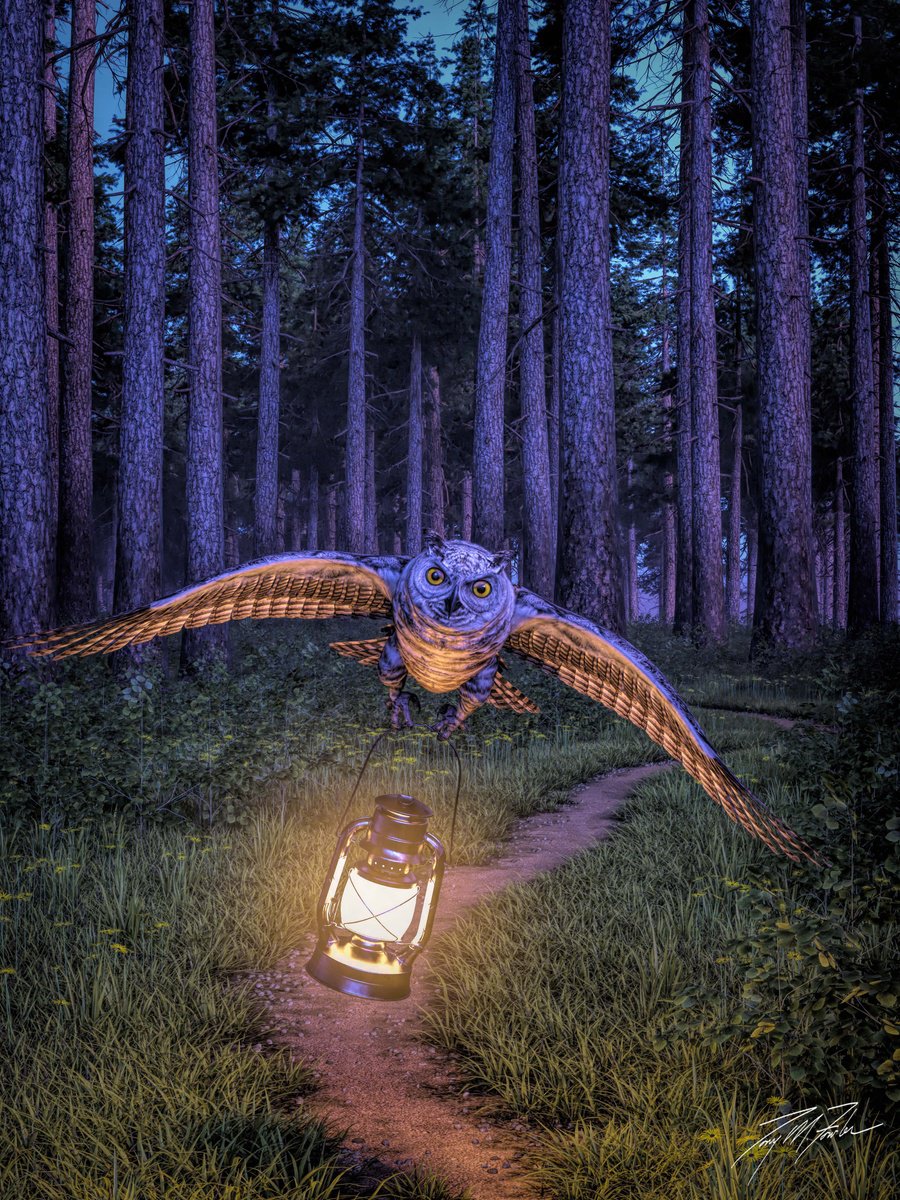 Night Owl by Tony Fowler