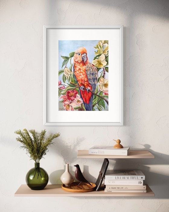 Orange parrot