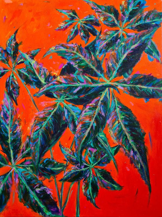 Money Tree