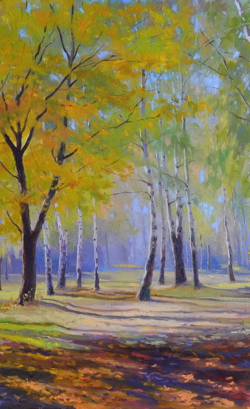 Autumn in the birch park by Ruslan Kiprych