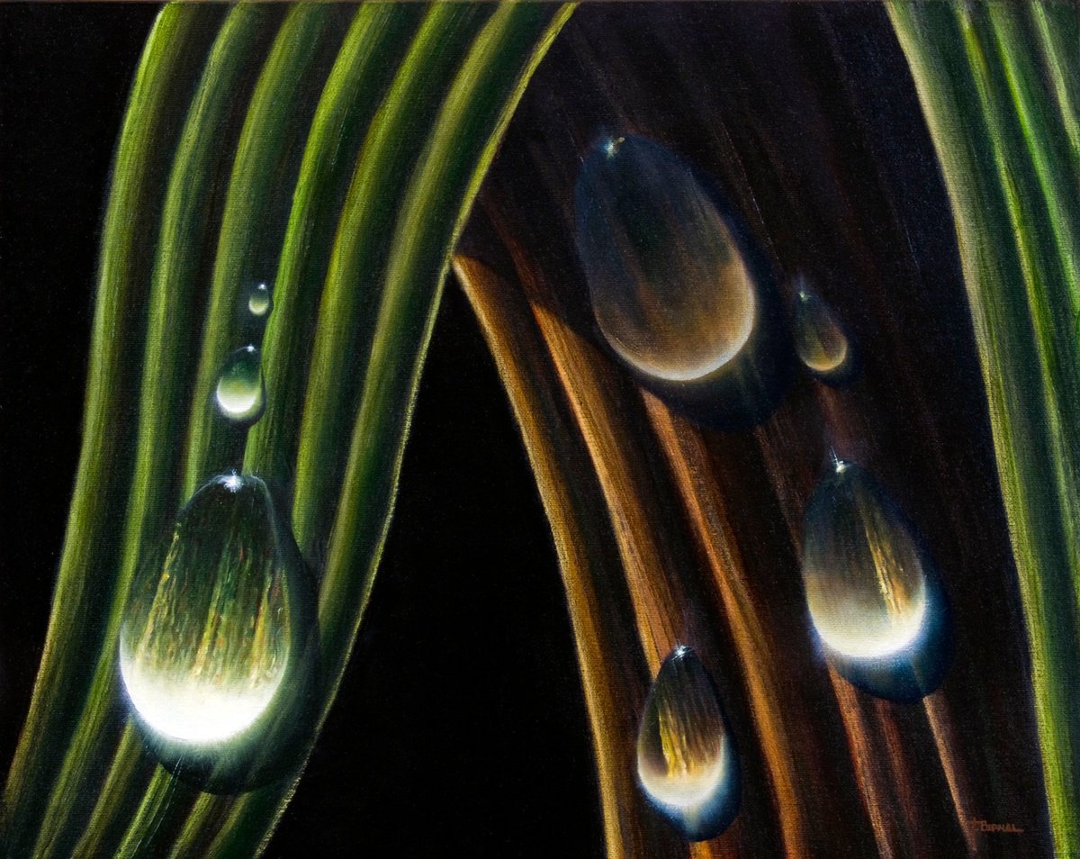 Photorealistic Botanical Oil Painting By Juan Bernal, 20 X 16", Droplets, Original Artwork