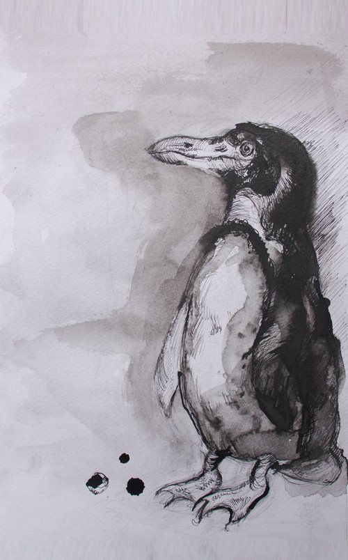 "African Penguin" by Evgeniq Ivanova