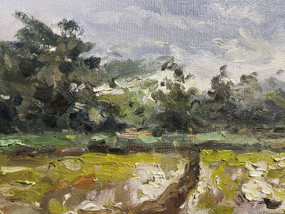 Morning Mist After the Rain