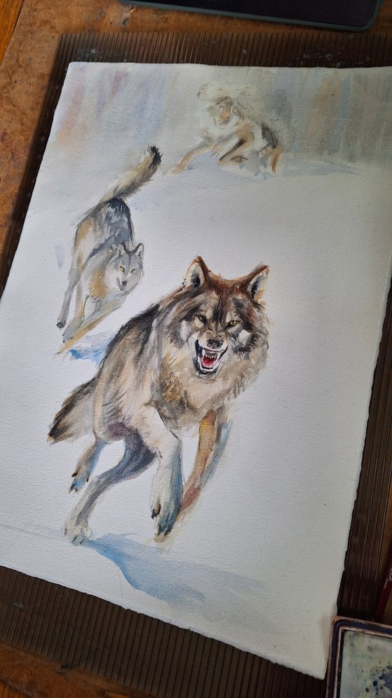 Wolf Run