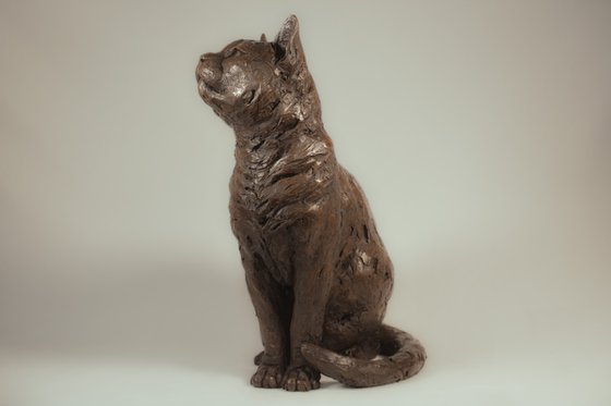 Sitting Cat BR