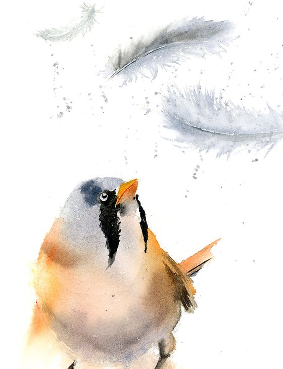 Bird and feather ( 1 of 3) -  Original Watercolor Painting