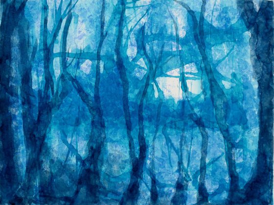 In the woodland : The witches trees #1 - watercolor