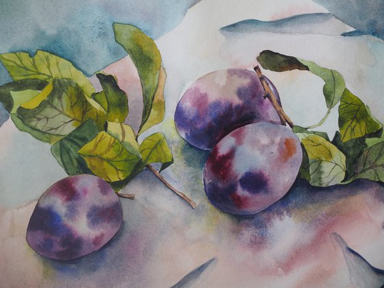 Plums on paper