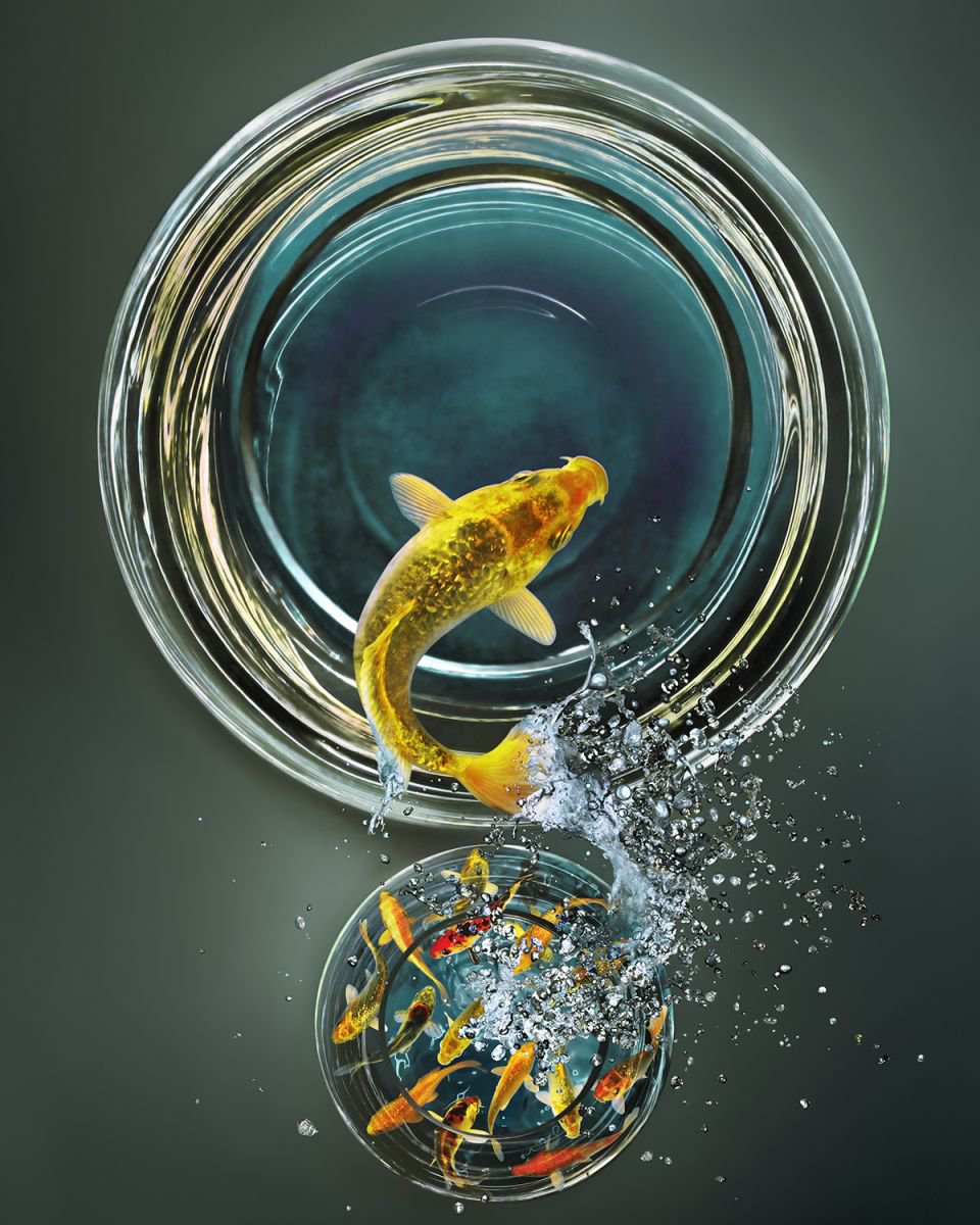 Photorealistic Animal Photograph By Gandee Vasan, 17 X 23, Leap Of Faith, Original Artwork