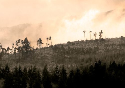 The Trossachs by Russ Witherington